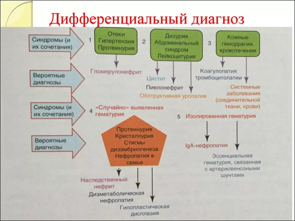 Дифференциальный диагноз гематурии. Дифференциальный диагноз отечного синдрома. Дифференциальный диагноз при протеинурии. Отеки алгоритм диагностики.