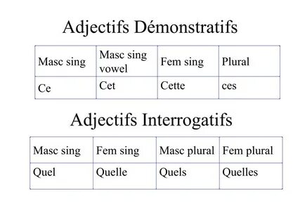 Les adjectifs