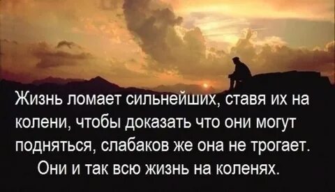Вы никогда не сможете понять