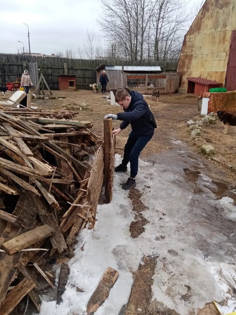 Приют лесопилка. Приют Лесопилка Псков. Работники лесопилки приют. Лесопилка Псков приют для животных.