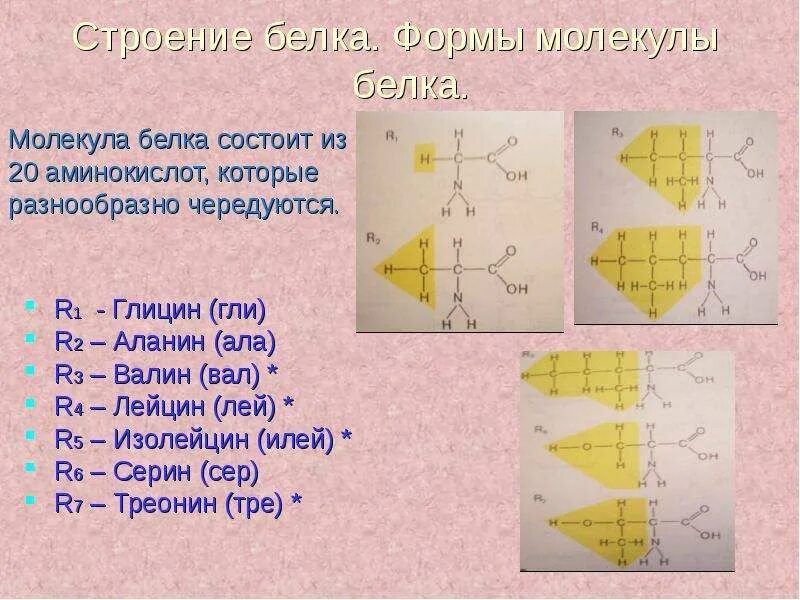 Размеры и форма белковых. Формы молекул белков. классификация белков по форме молекул. белки по форме молекул. форма белковой молекулы.