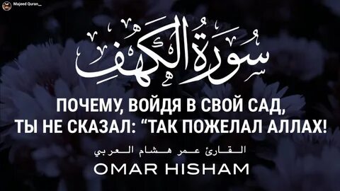 Суры омара хишама