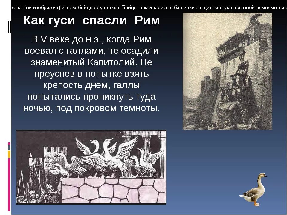 Гуси спасли Рим Легенда. Гуси спасли Рим кратко. Выражение гуси Рим спасли. История как гуси спасли Рим.