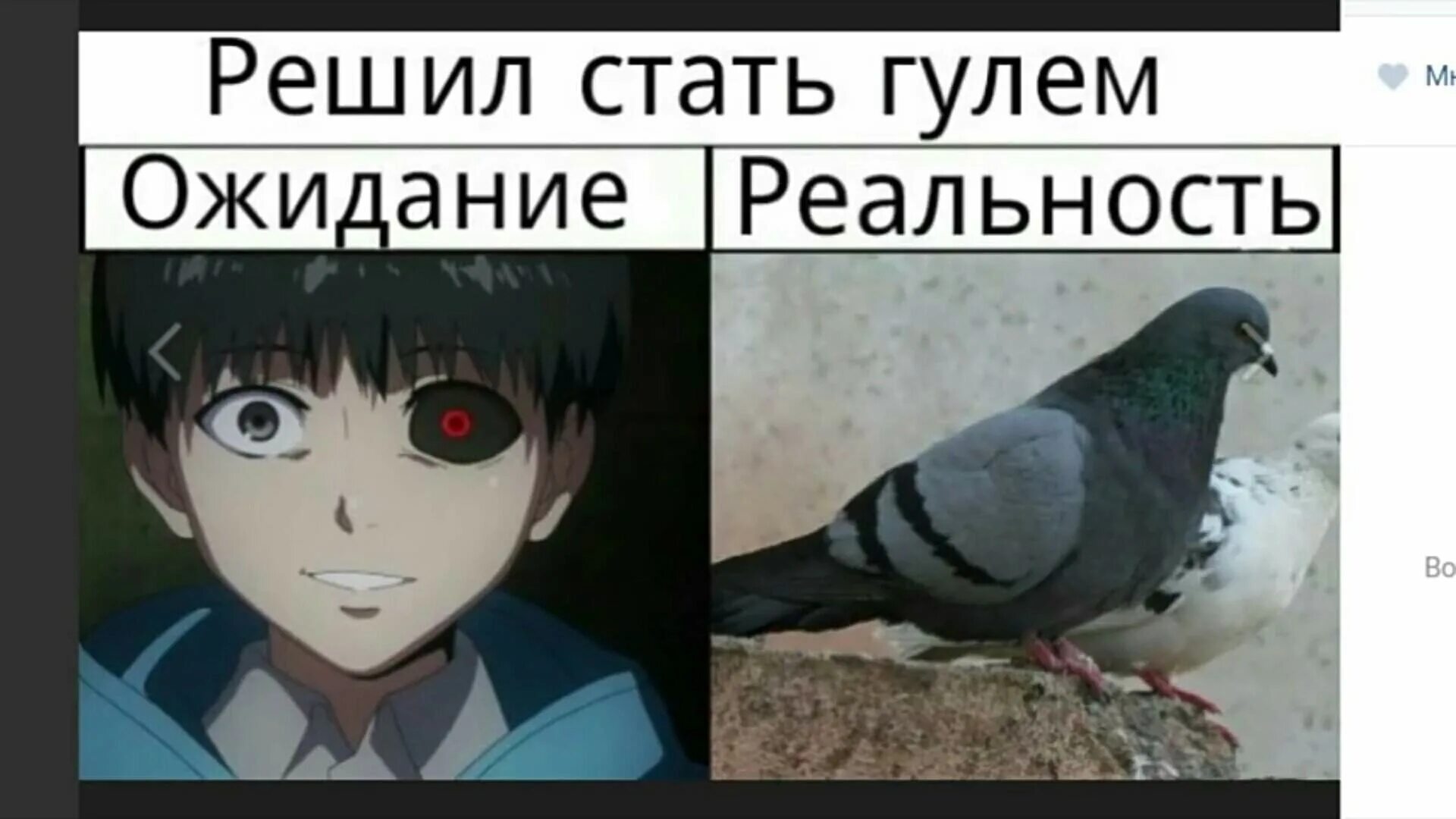 Как стать гулем в реальной жизни