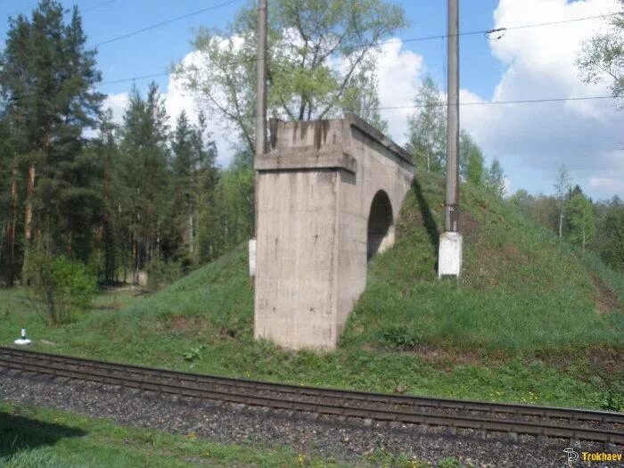 Белые берега мост поколений. Узкоколейка белые берега. Узкоколейка белые берега. Белобережская узкоколейная железная дорога. Мост на узкоколейке белые берега.