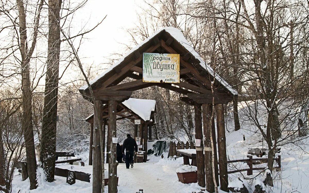 Родник пушкино. Мураново Святой источник купель. Родник, Святой источник Мураново купель. Святые источники Мураново купель. Родник Ивушка в Пушкино.