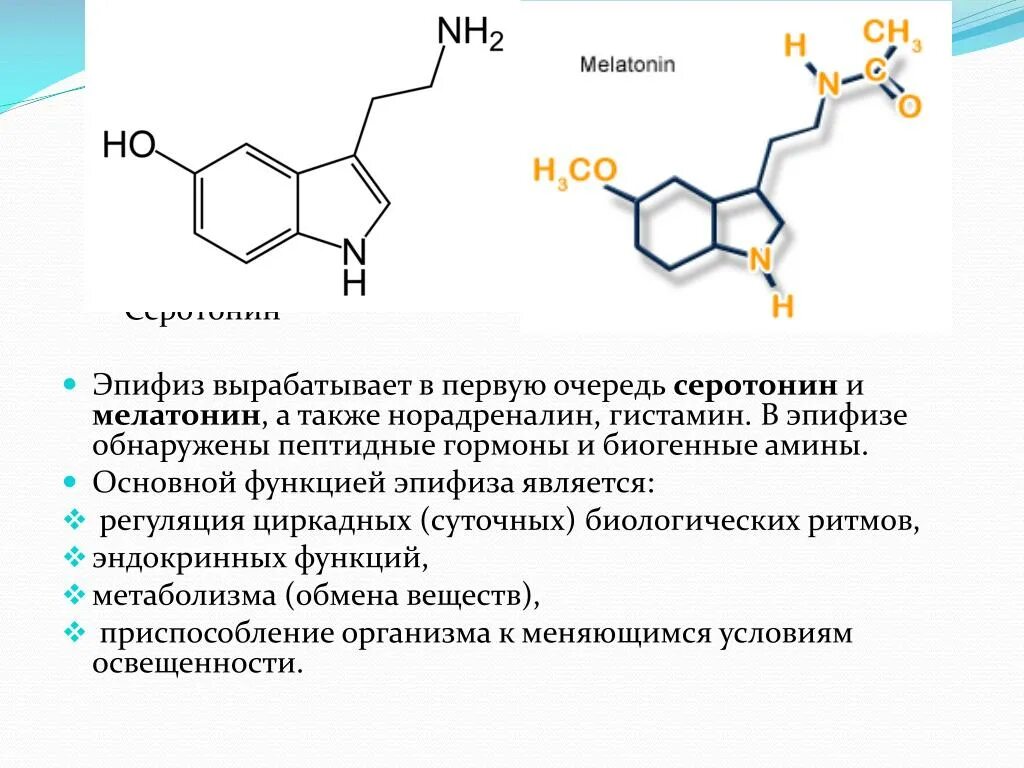 Гипофункция мелатонина гормона. Гормоны эпифиза серотонин. Гормоны эпифиза мелатонин и серотонин. Мелатонин серотонин гормоны функции. Схема синтеза серотонина.