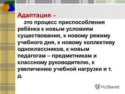 Адаптация к обучению в среднем звене