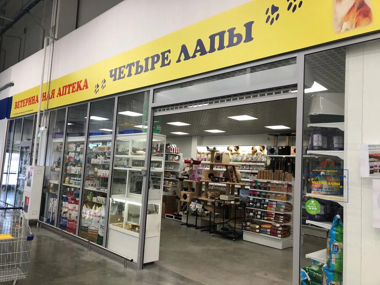 Самый большой магазин 4 лапы. Зоомагазины 4 лапы адреса. Магазин для животных 4 лапы. Зоомагазины 4 лапы адреса. Елизарова 13 томск.