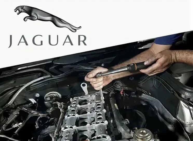 Ремонт jaguar. Автосервис Jaguar. Автосервис Ягуар. Ремонт двигателя Jaguar. Коллекция Ягуар автосервис.