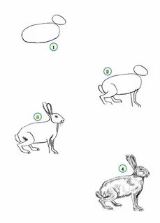 Как нарисовать животное которое