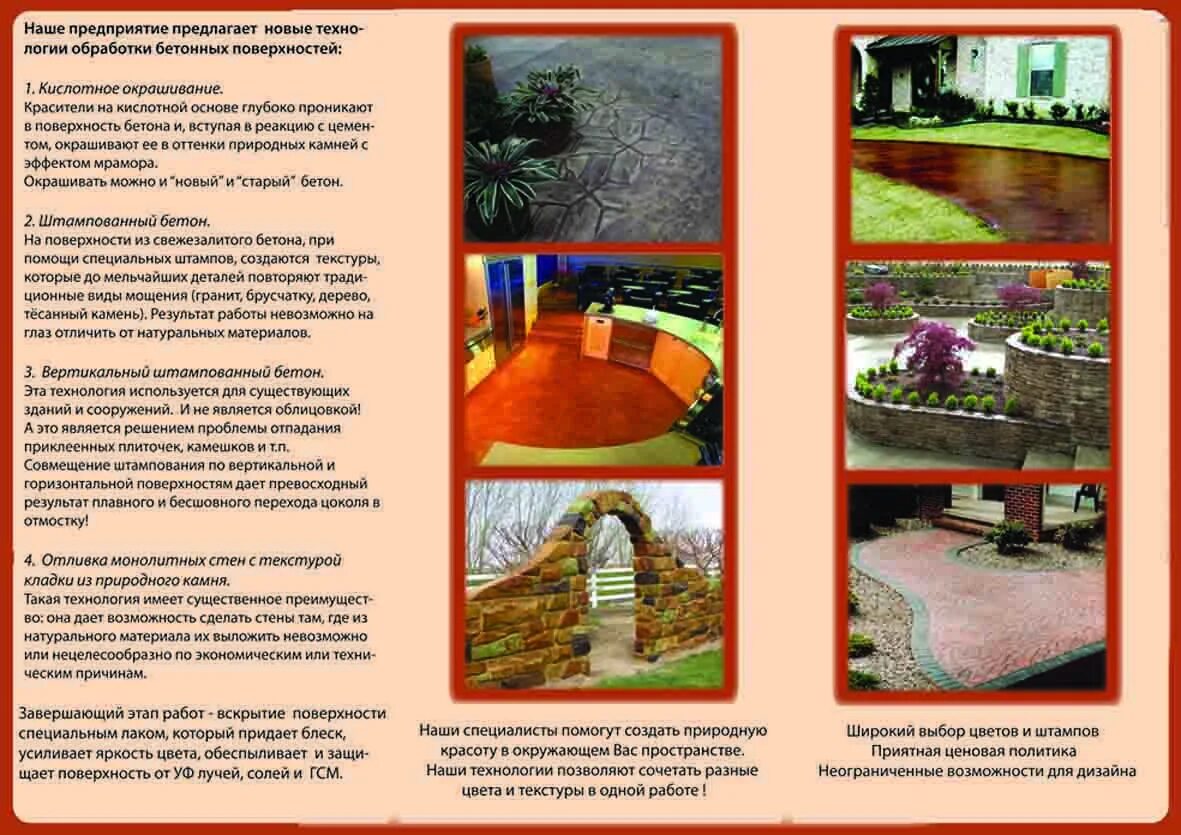 Первые брошюры. Брошюры 19 века. Брошюра про петра великого. Первый буклет. Первый буклет.