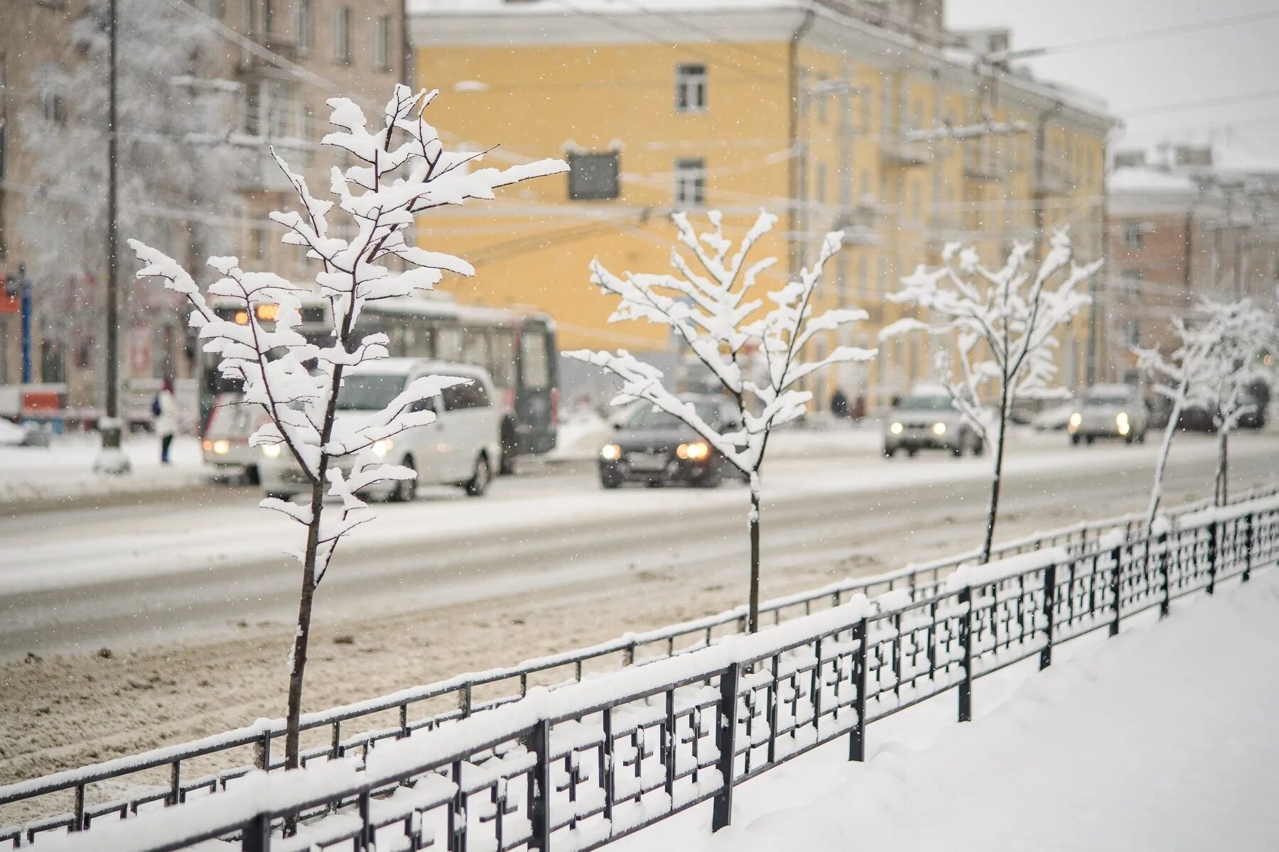 Погода февраля ижевск. Погода в Петрозаводске. Погода в Петрозаводске сегодня. Петрозаводск сегодня фото погода.
