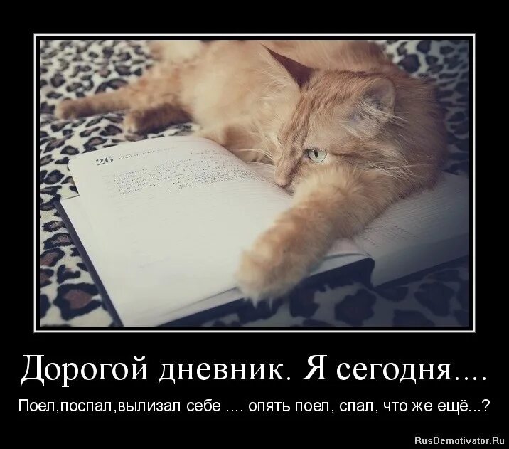 Дорогой дневник мне не описать ту. Дорогой дневник. Дорогой дневник прикол. Шутки про дорогой дневник. Приколы дарагой дневник.