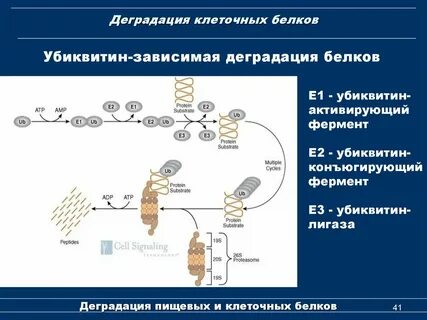 Деградация системы