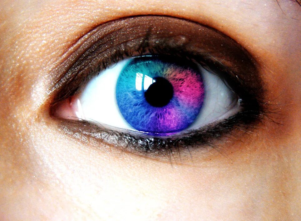 Цвета глаз в природе. Цветные глаза. Необычный цвет глаз. Красивые фиолетовые глаза. Разноцветный цвет глаз.