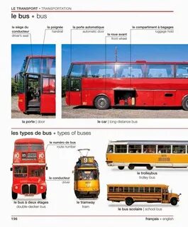 Bus type