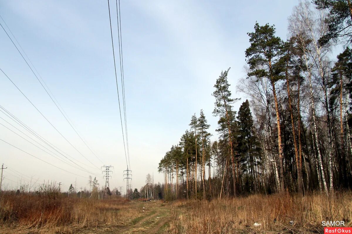 салтыковка серп. салтыковка балашихинский район. серп и молот. салтыковский парк балашиха. природа салтыковка.
