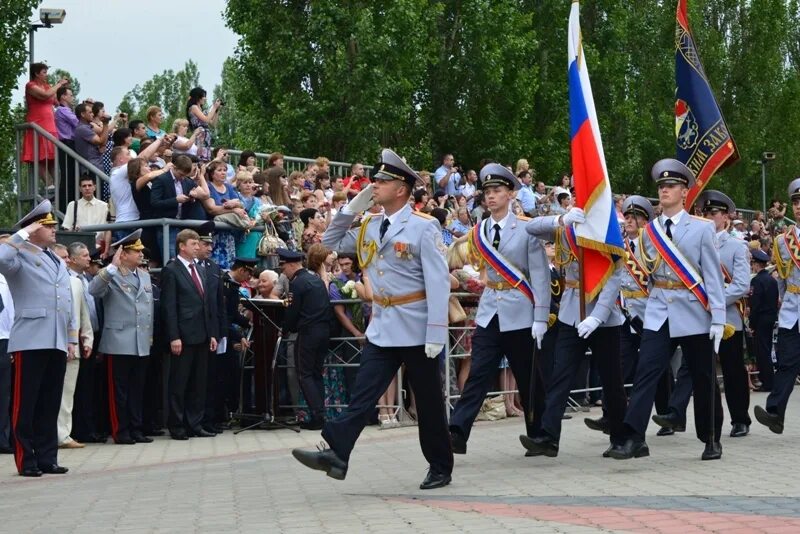 Сайт института мвд воронеж. Ви МВД Воронеж. Воронежский институт МВД. Знамя Воронежского института МВД РФ. Пастушкова ви МВД.