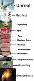 Meme stake