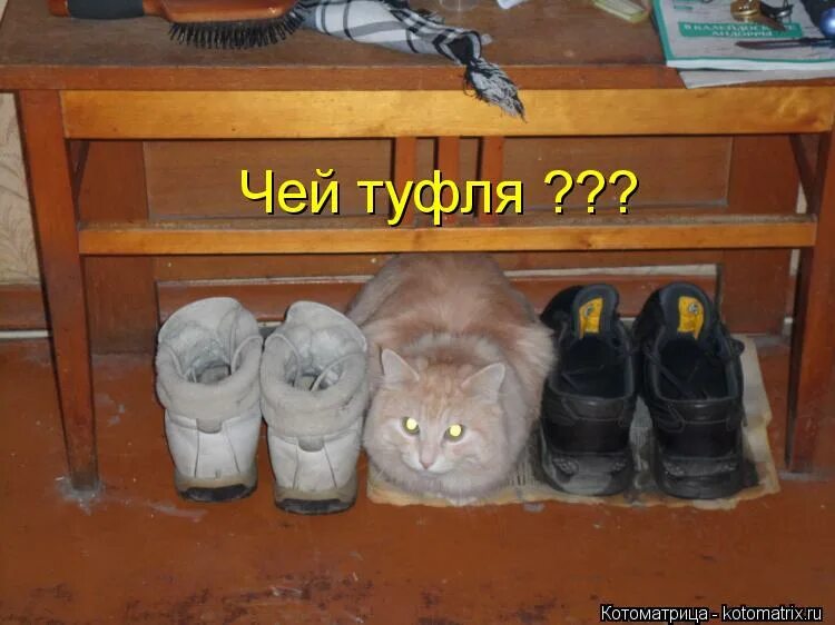 Чей ботинок. Чьи ботинки. Чей туфля мой туфля. Чей туфля картинки смешные. Лого чей туфля.