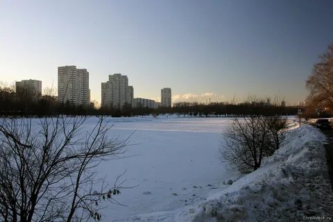 Алтуфьево лианозово