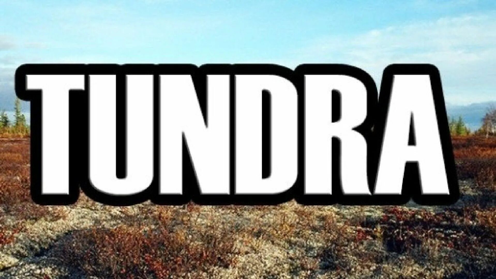 Тундра чит для танков. Код тундра. Туманный кольский полуостров. Дриадовые тундры таймыр. Как установить мод тундра.