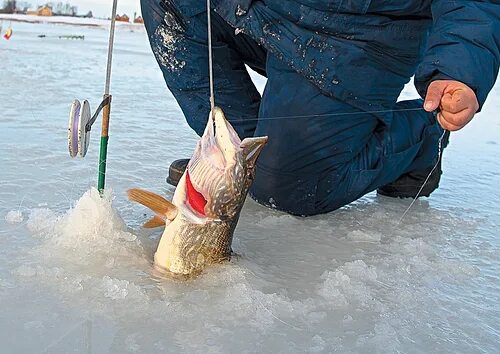 рыбак решил