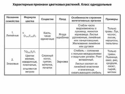 Заполнить таблицу семейства класса двудольные Изучите таблицу основные семейства покрытосеменных растений фото