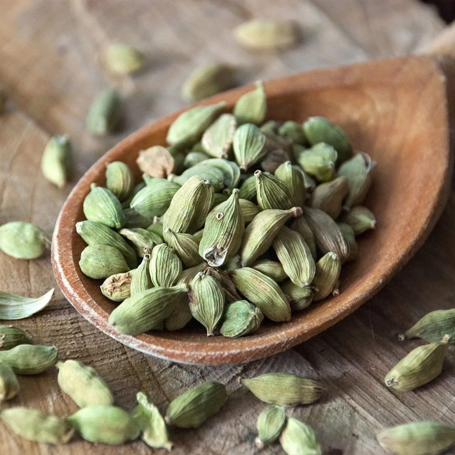 Как использовать кардамон в зернах. Зерна кардамона. Зерна кардамона фото. Кардамон растение. Малабарский кардамон.