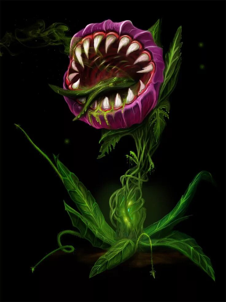 Horror plant. Венерина мухоловка. Цветок хищник Венерина мухоловка. Венерина мухоловка монстр. Венерина мухоловка страшная.