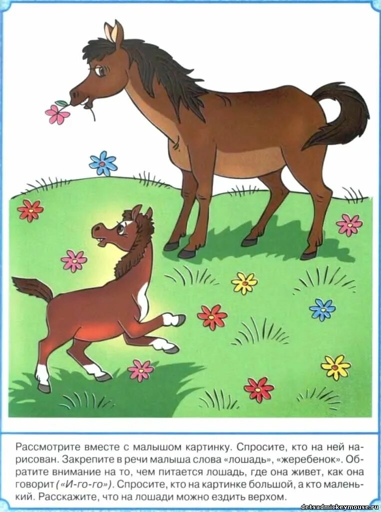 лабиринты для детей. лошадка задания для малышей. лошадь задания для дошкольников. задачки про лошадей. лошадь задания для детей.