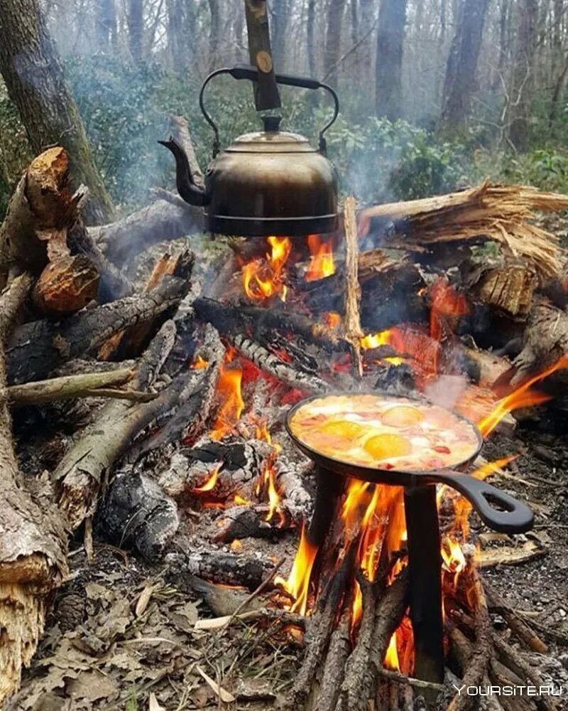 Еда на костре. Блюда на костре на природе. Пикник у костра. Шашлыки на природе. Пикник костер