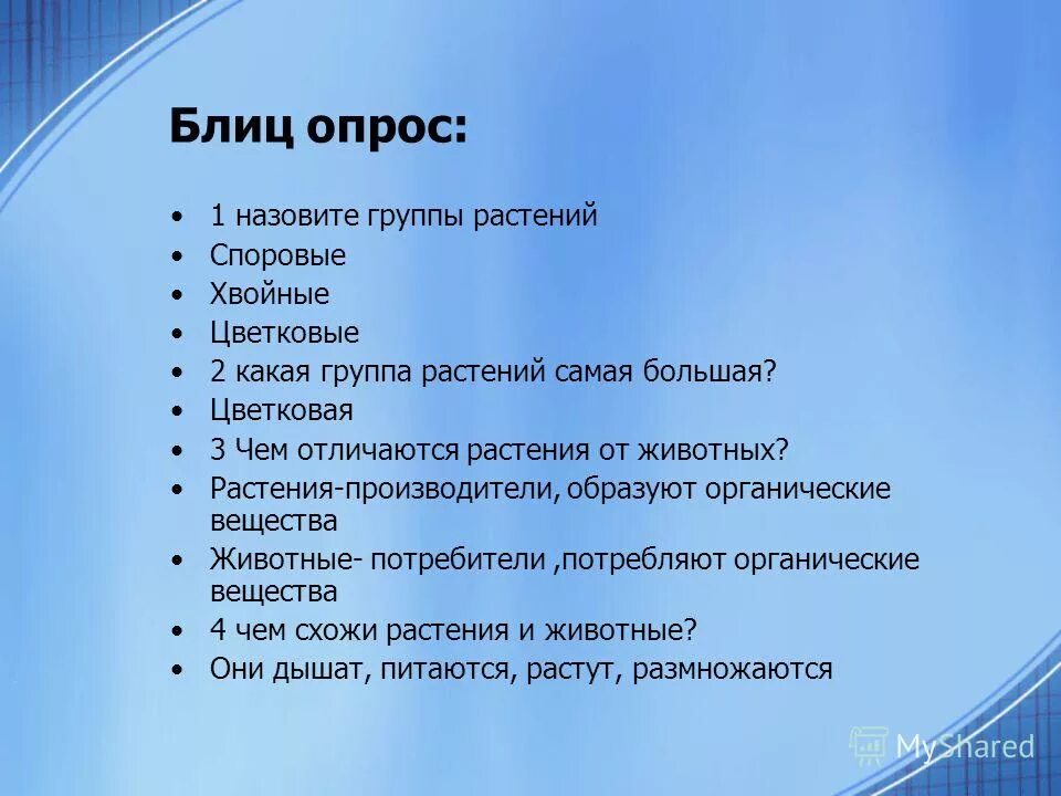Самым могущественным из древнейших греческих городов был:. Темы блицев. Готовый реферат на тему лексикография в русском язык. Темы блицев. Блиц опрос по русскому языку 3 класс.