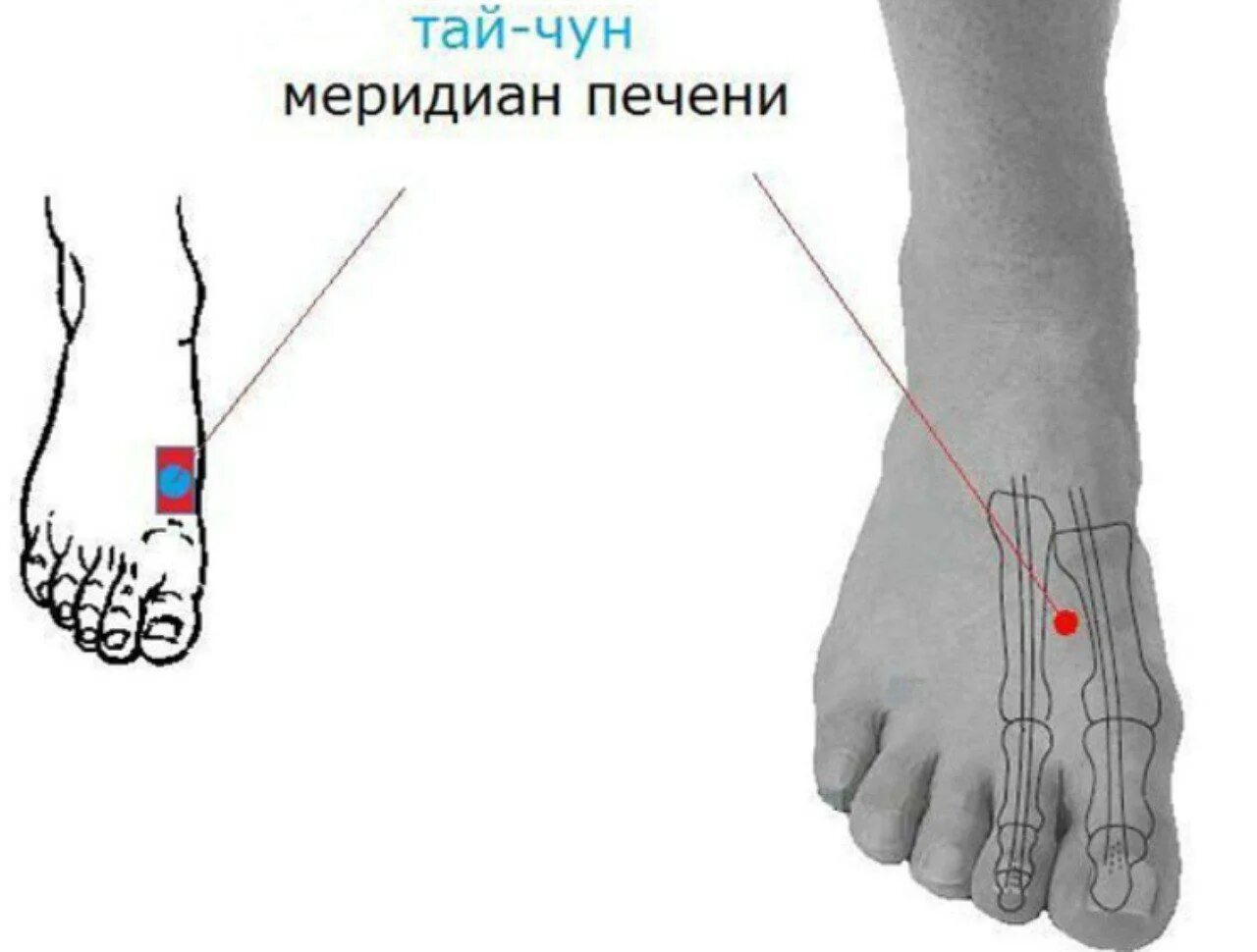 Точка меридиана печени Тай Чун. Тай Чун точка акупунктуры. Точка акупунктуры (Тай- Чун) f3. F3 точка акупунктуры.