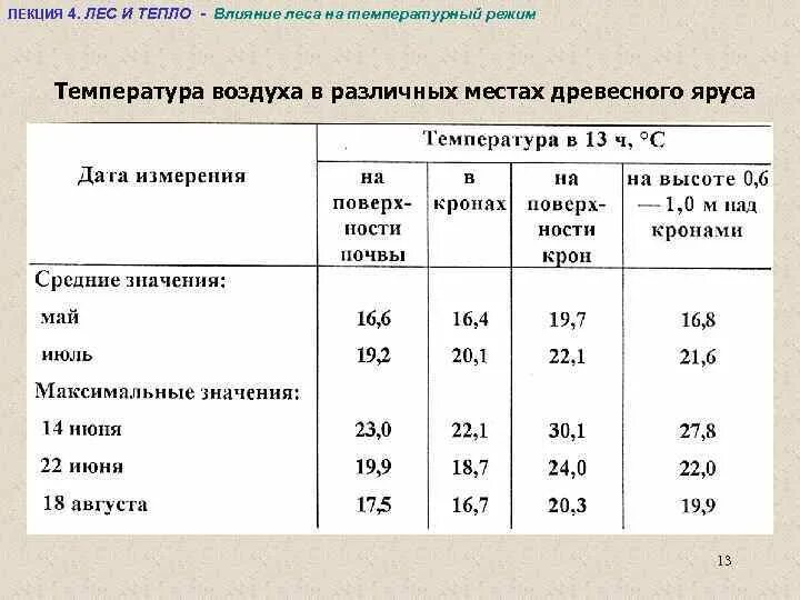 Какая влажность в лесу