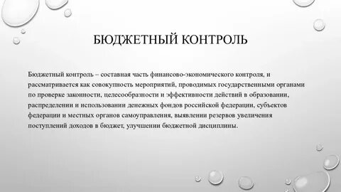Бюджетный контроль