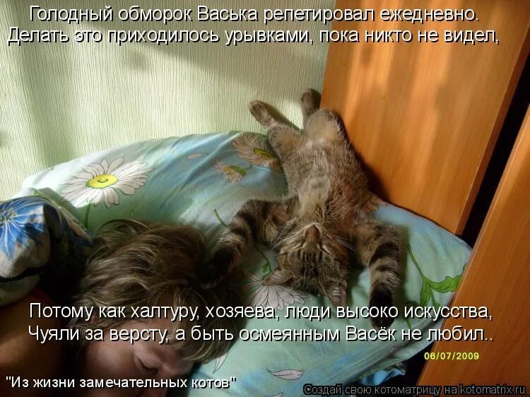 Голодный котик прикол. Голодный кот демотиватор. Голодный обморок это. Кот изображает голодный обморок. Голодный обморок это.