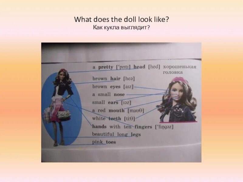 What does it look like. What does the doll look like. про любимую игрушку на английском языке. what does ann look like?. перевод do you like playing with dolls.