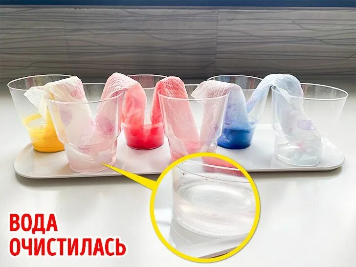 Быстро эксперимент. Шагающая вода опыт для детей. эксперимент шагающая вода. детские опыты с водой и бумажными салфетками. опыты с водой бумажным полотенцем.