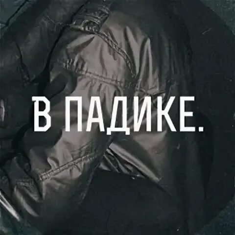 Падик картинка. Азимут слим. Цитаты падик. Текст песни падик. Падик.