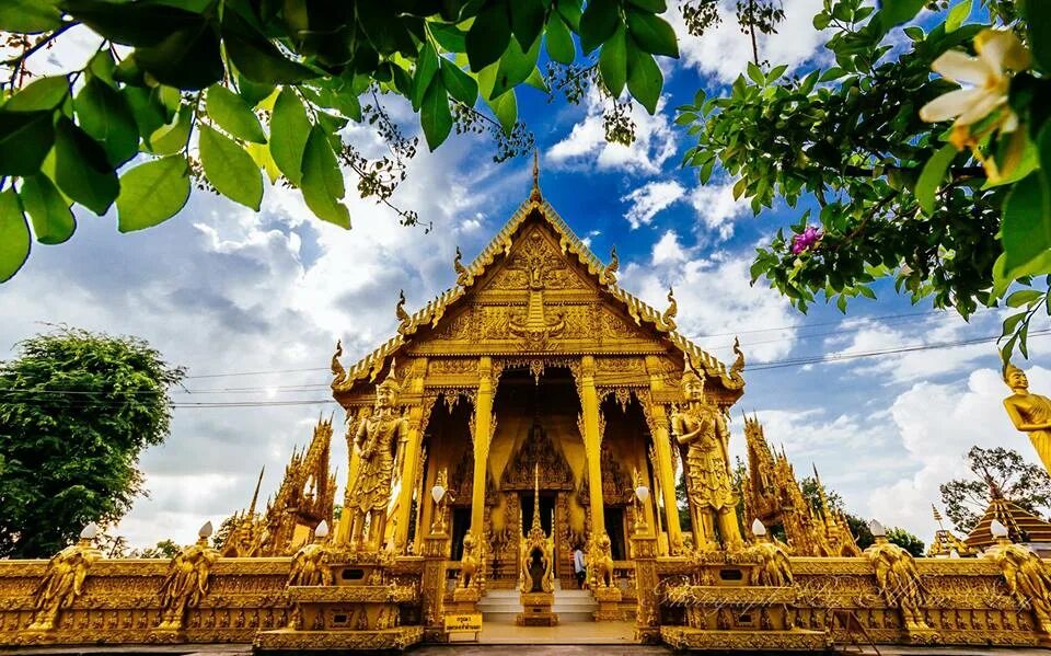 ห ล ว ง พ 4g. ต้นศักดิ์ทอง дерево в Тайланде. Wat โพโรงเรียน. Gods Temple Deluxe สล็อตค่าย BNG.