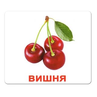Включи карточки для малышей