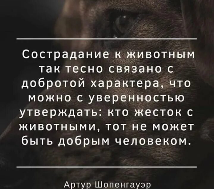 Можно с уверенностью утверждать