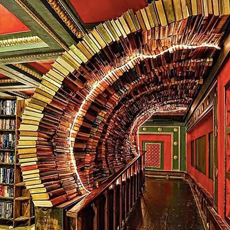 Книга библиотека в которой интересно