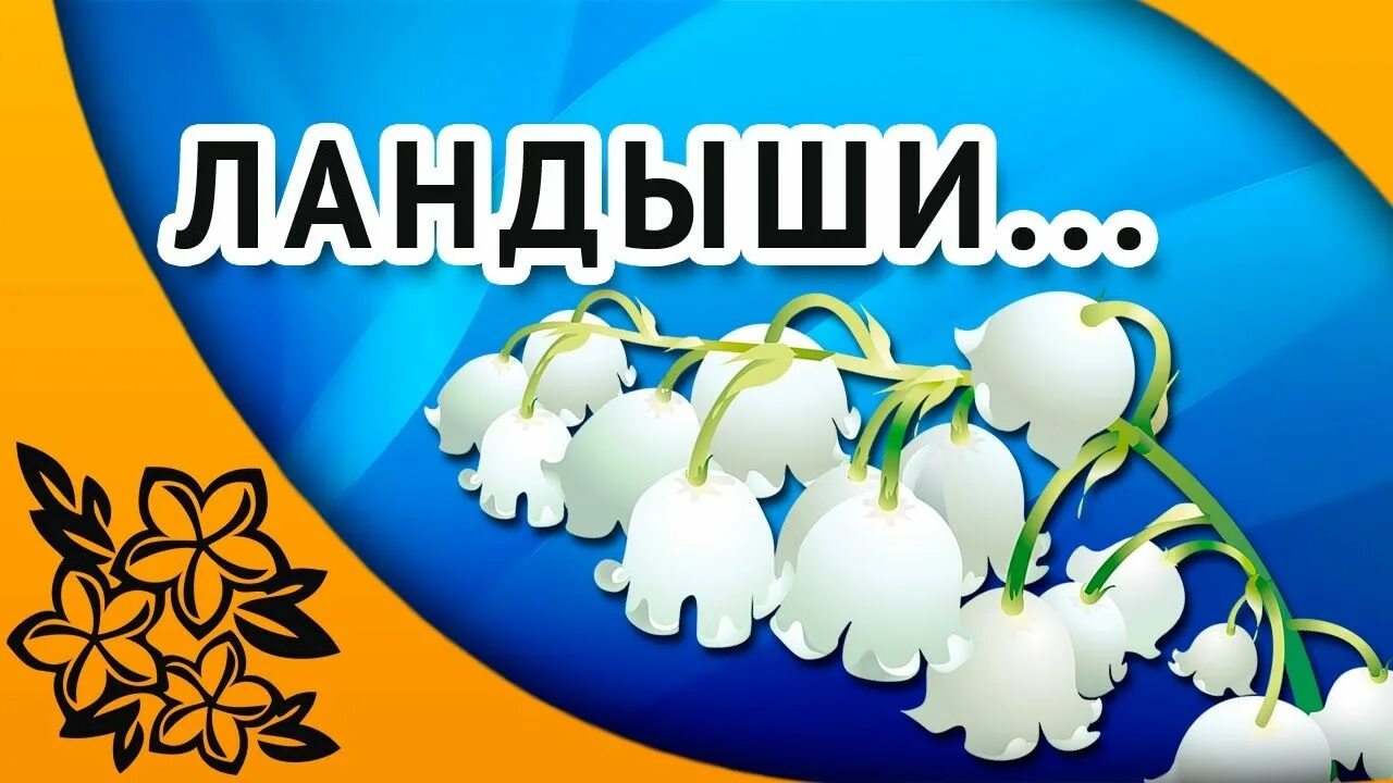 Как называется песня ландыши. Группа Ландыши. Ebanko Ландыши. Ландыши песня. Группа Ландыши картинки.