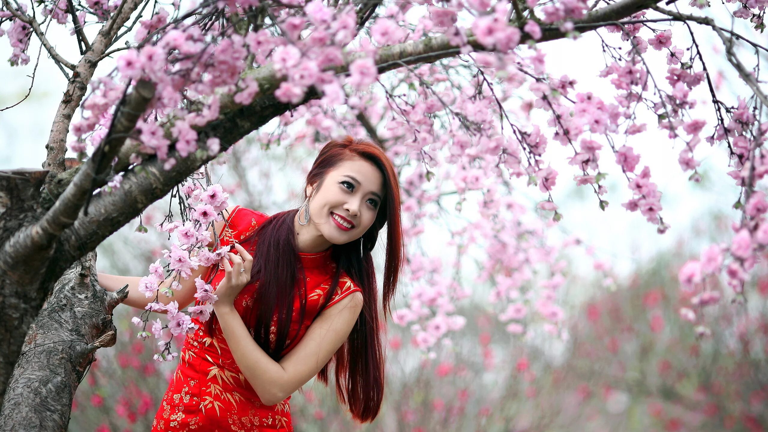 Сакуры человека. Фотосессия на фоне цветущих деревьев. Девушка под сакурой. Девушка на фоне цветущих деревьев.