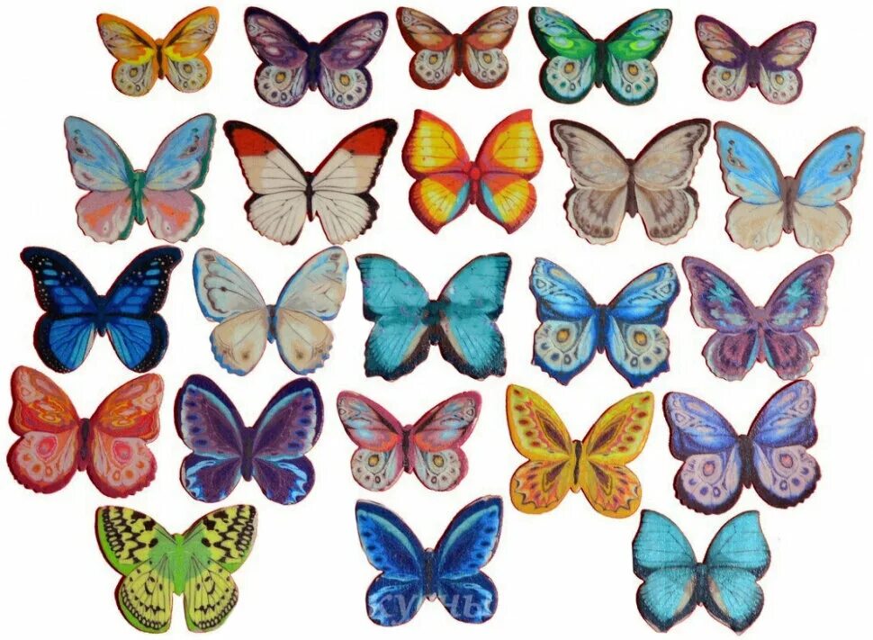 Вафельные бабочки для торта купить. Вафельные бабочки микс, 10 шт.. Вафельные бабочки цветные с рисунком 180 шт,микс nk27232. Бабочки цветные. Торт «бабочки».