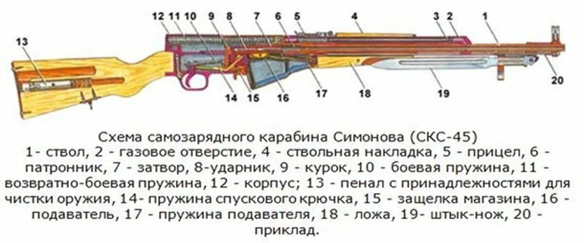 Основные части см 2. ТТХ самозарядный карабин Симонова. Самозарядный карабин Симонова схема. СКС винтовка 7.62 характеристики. ТТХ СКС карабин 7.62.