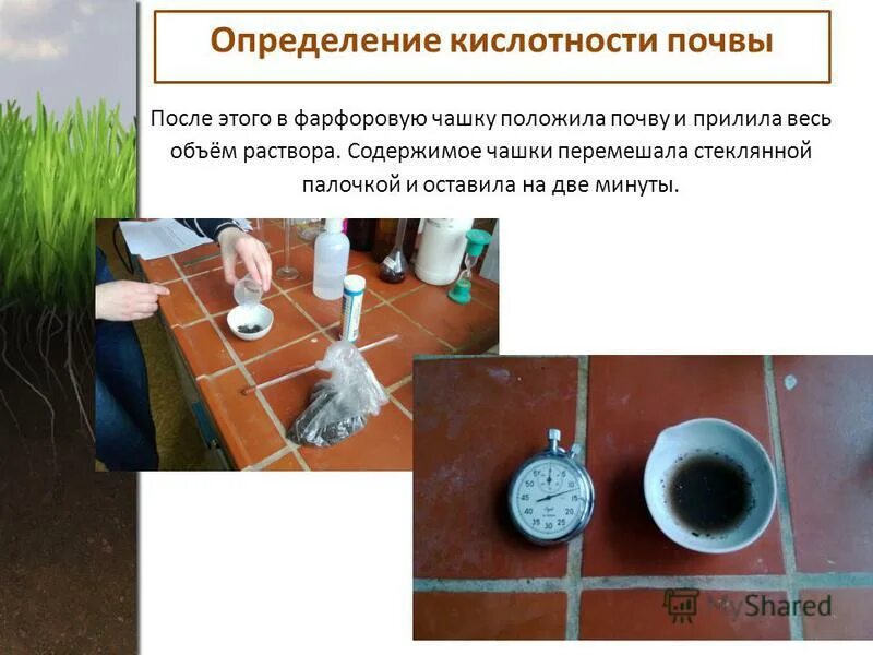 Как узнать кислотность почвы на огороде. Кислотность почвы. определение кислотности почвы. определение ph почвы. рн водной вытяжки почвы.